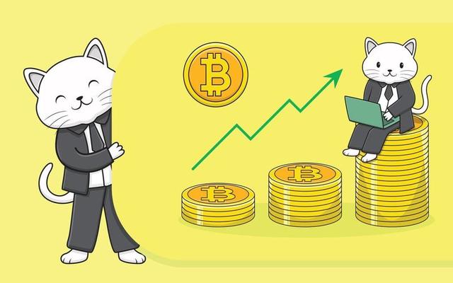 The cat coin will be live in some time!!