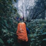 Navigating the Future of Careers in Technology and AI
